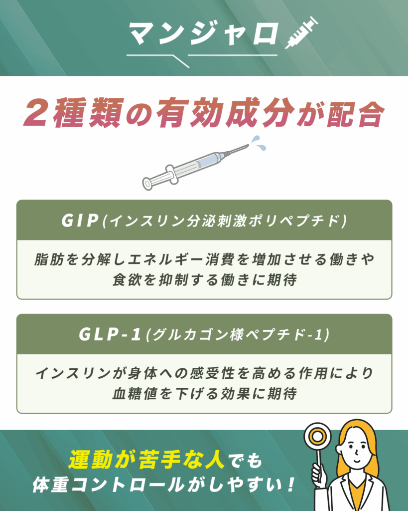 マンジャロダイエットで期待できる効果